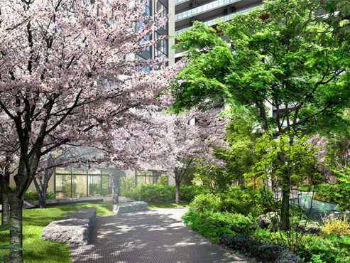 パークウェルステイト西麻布 介護居室