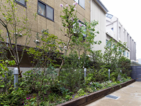 ソーシャルコート小松