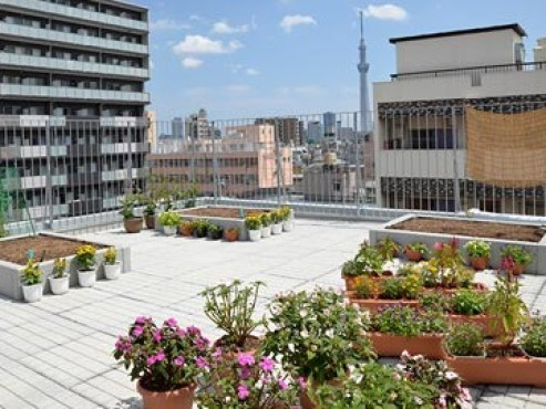 ハビリス・リ・トキ台東