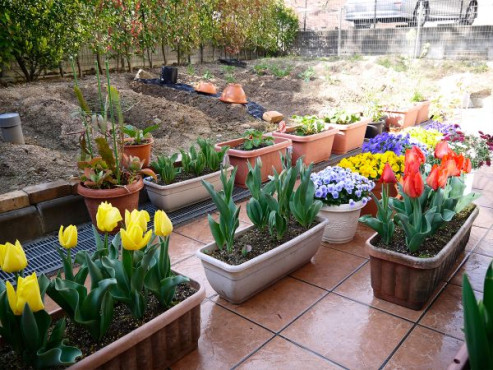 枚方ガーデンテラス