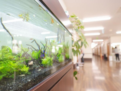 ナーシングホームまごころ荘石津