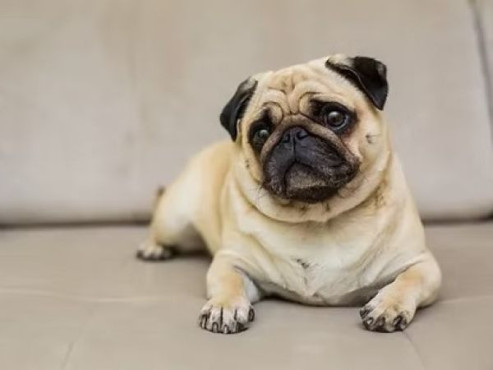 ナーシングホームハート・いなざわ