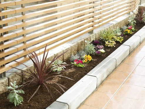 ユーフォリア函南大場