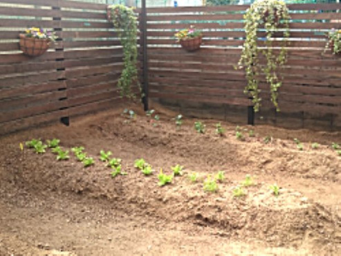 ガーデンパーク・じゃすみん