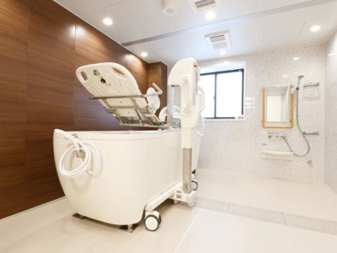 オリーブ・草津