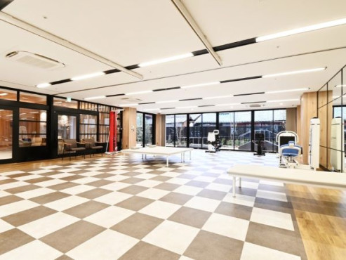 オリーブ・草津