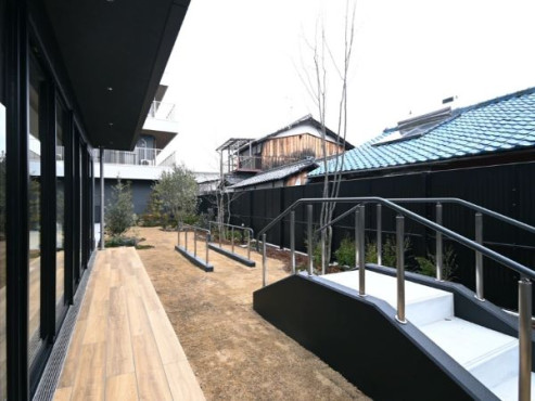 オリーブ・草津