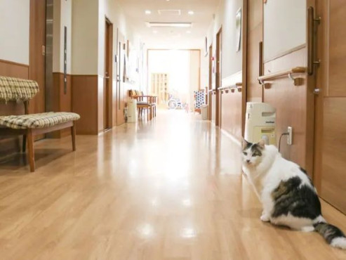 サービス付き高齢者向け住宅 八重の里