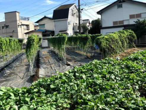 ファミリア塚田