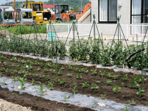 サービス付き高齢者向け住宅カーサ・ミーア壱番館