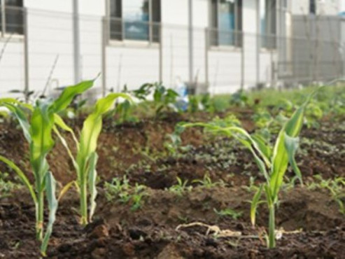 白井の家参番館