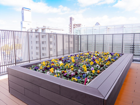 SOMPOケア ラヴィーレ平和大通り