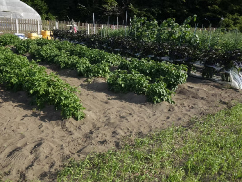 グループホーム清里