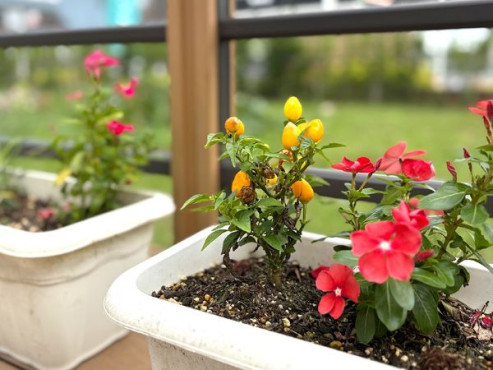 リヤンドー絆ー浜松中央