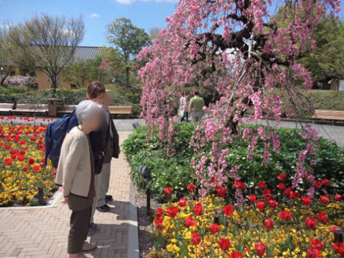 ラ・プラス青山