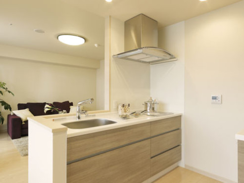 プラテシア 芝浦アイランド