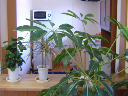 ニチイケアセンター東三輪