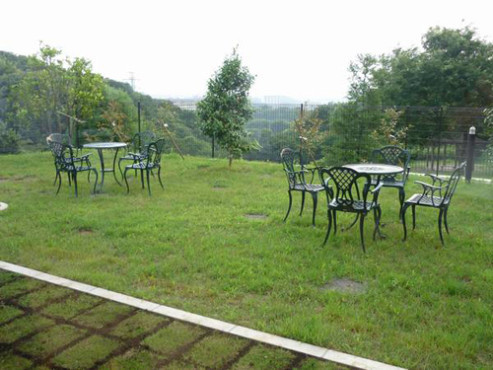 家族の家ひまわり聖蹟桜ヶ丘