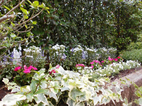 メディカルホームまどか武蔵浦和