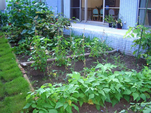 SOMPOケア ラヴィーレ高津