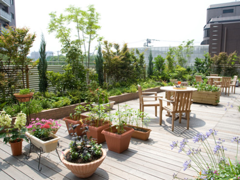 グッドタイム リビング 亀戸