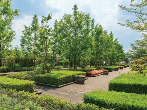 サンシティ木津ロイヤルケア