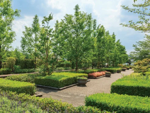 サンシティ木津ロイヤルケア