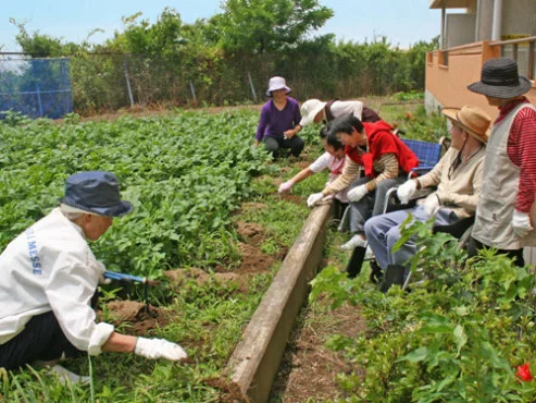 シルバービラージュ新舞子