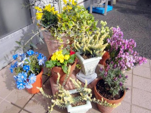 まどかすずかけ台