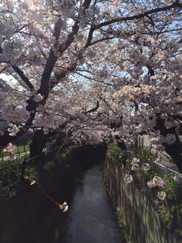 フローレンスケア鎌倉