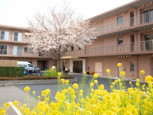 エクセルシオール西国分寺