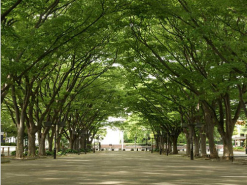 グランクレール馬事公苑