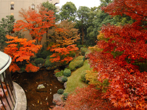 サクラビア成城