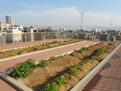 ニチイケアセンター神戸西舞子