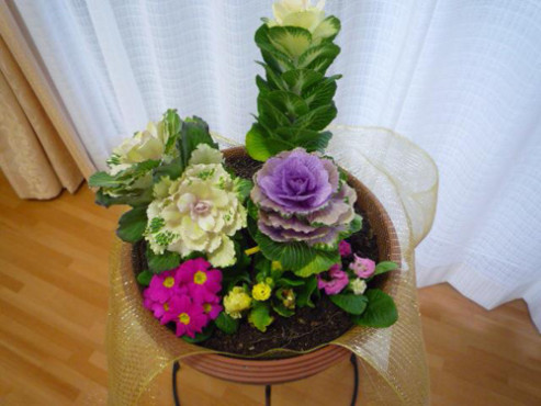 ニチイケアセンター神戸西舞子