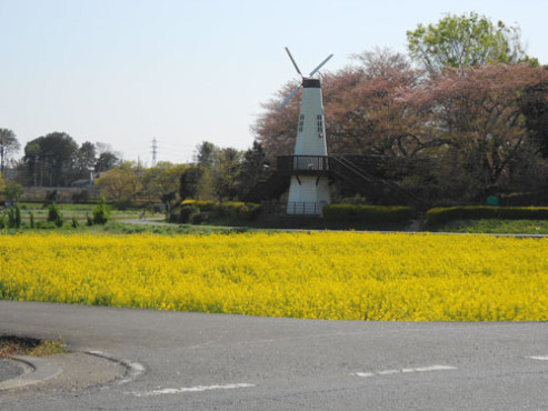 ニチイケアセンター堀崎