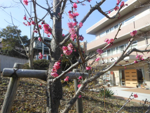 ニチイケアセンター横浜戸塚