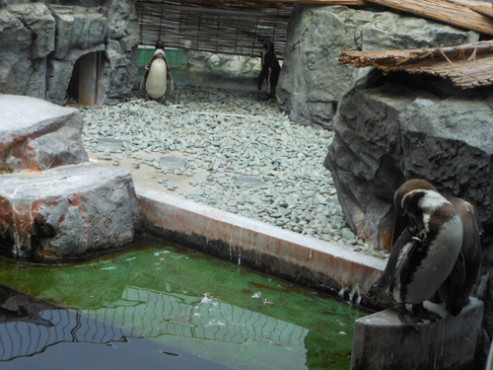 ニチイケアセンターひめじ広畑