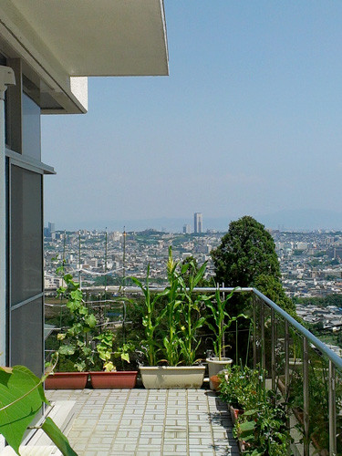 看護ホスピス めぐみの家