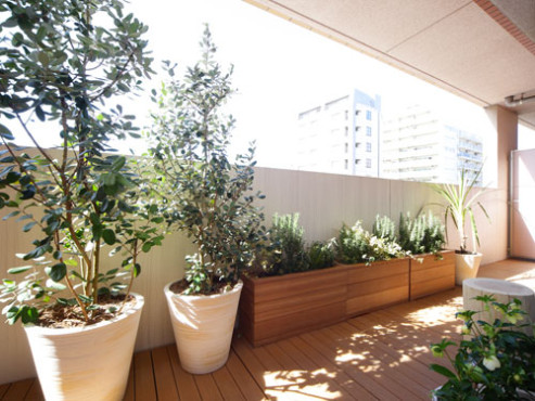 クラーチ・エレガンタ本郷