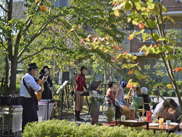 レリーサポプラ