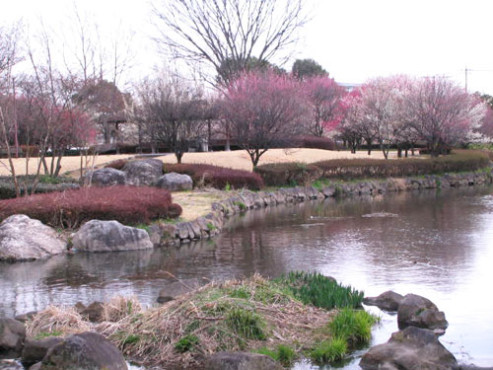 にこにこ川原田倶楽部