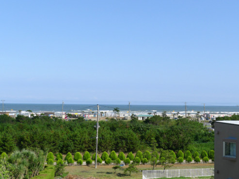 エクセルシオール山武