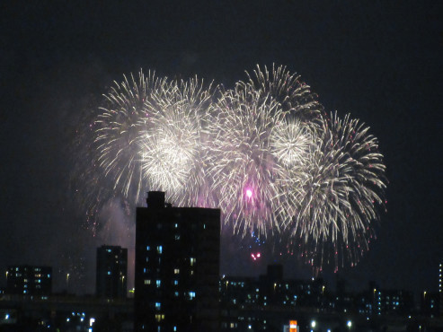 申孝園ロータスヴィラ