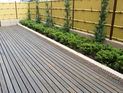 イリーゼはしもと