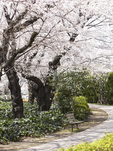 アリスタージュ経堂