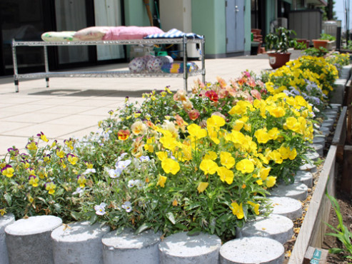 シニアハウスくさばな