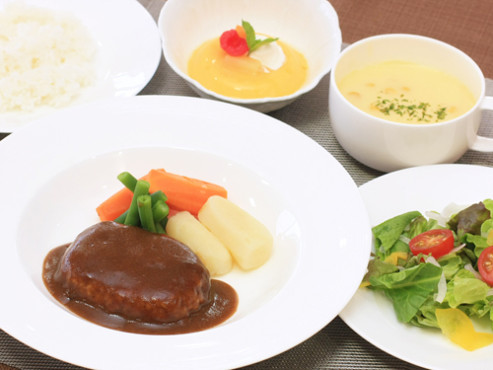 ネオ・サミット茅ヶ崎ケアレジデンス