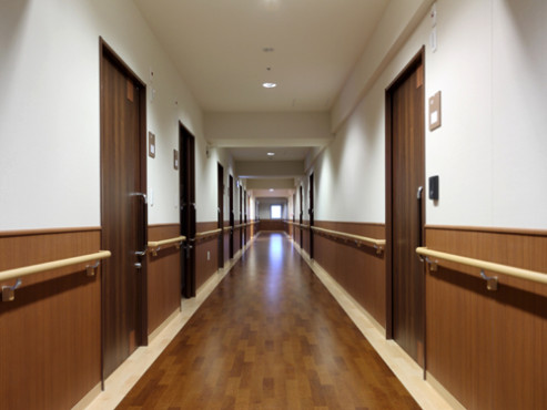 イルミーナみどり