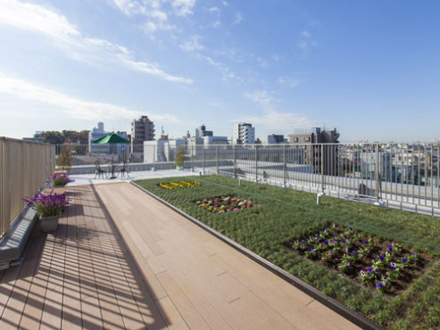 ドーミー中野江古田